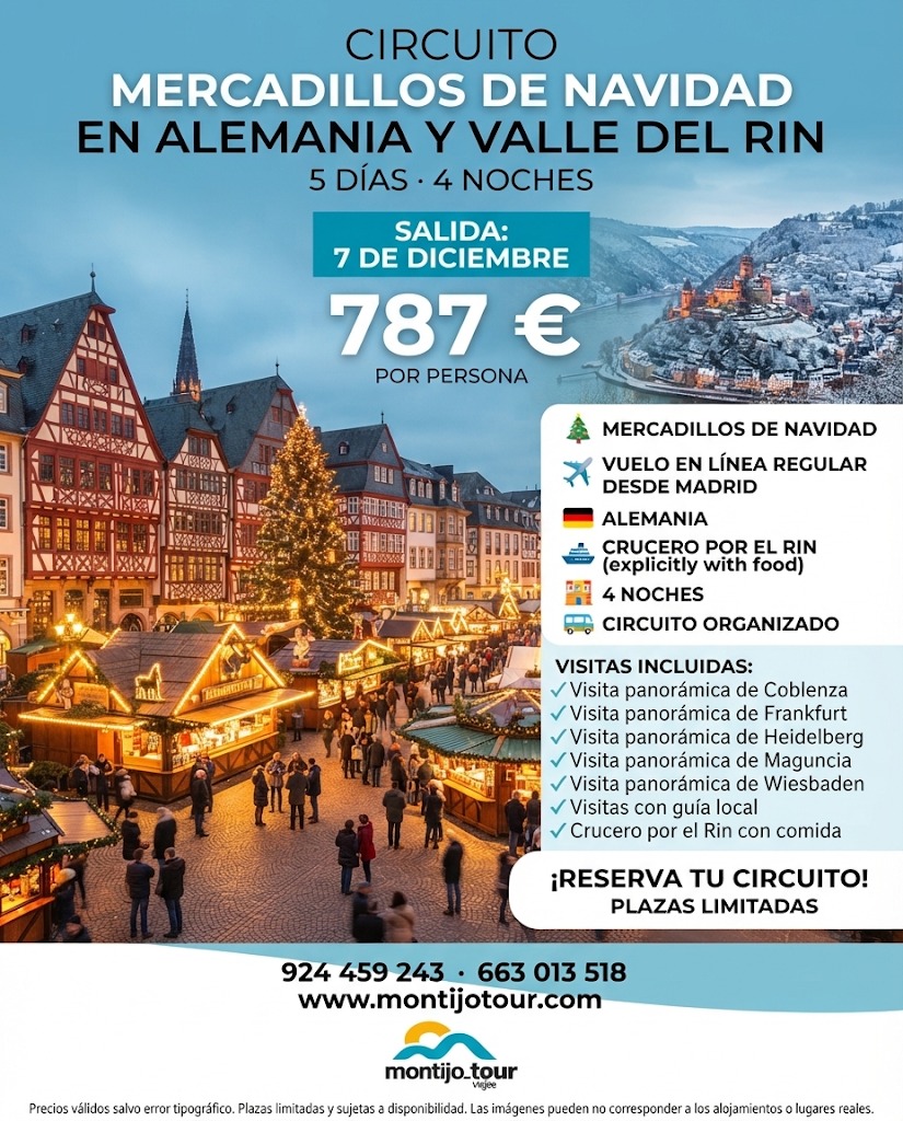 Mercadillos Navidad En Alemania y Valle del Rinm diciembre