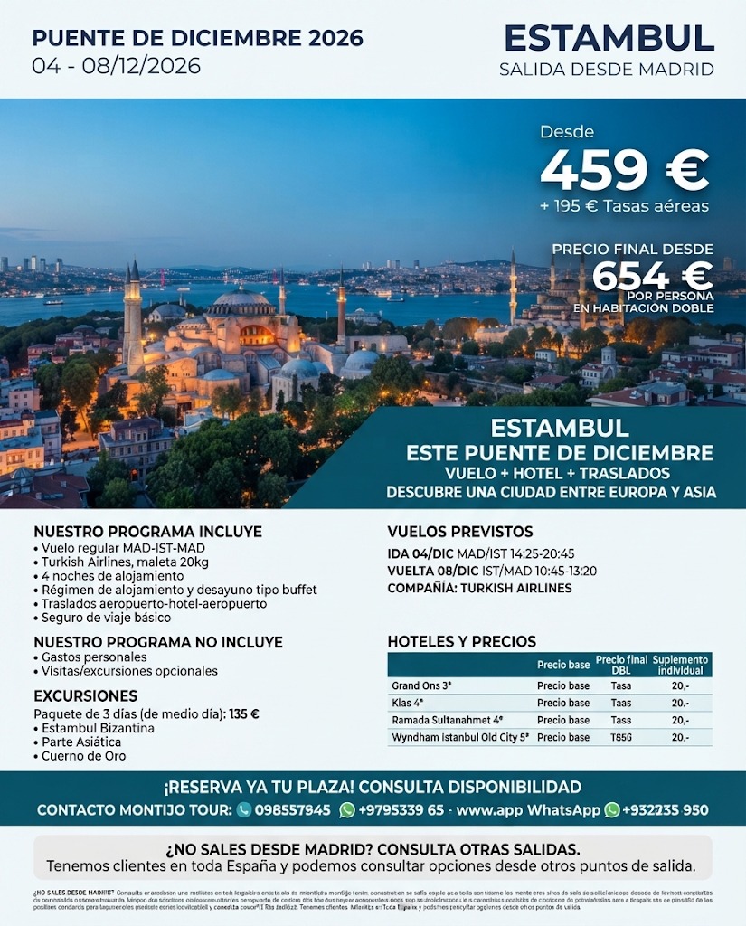 Estambul, Puente Diciembre, 4 días, vuelos, alojamientos...