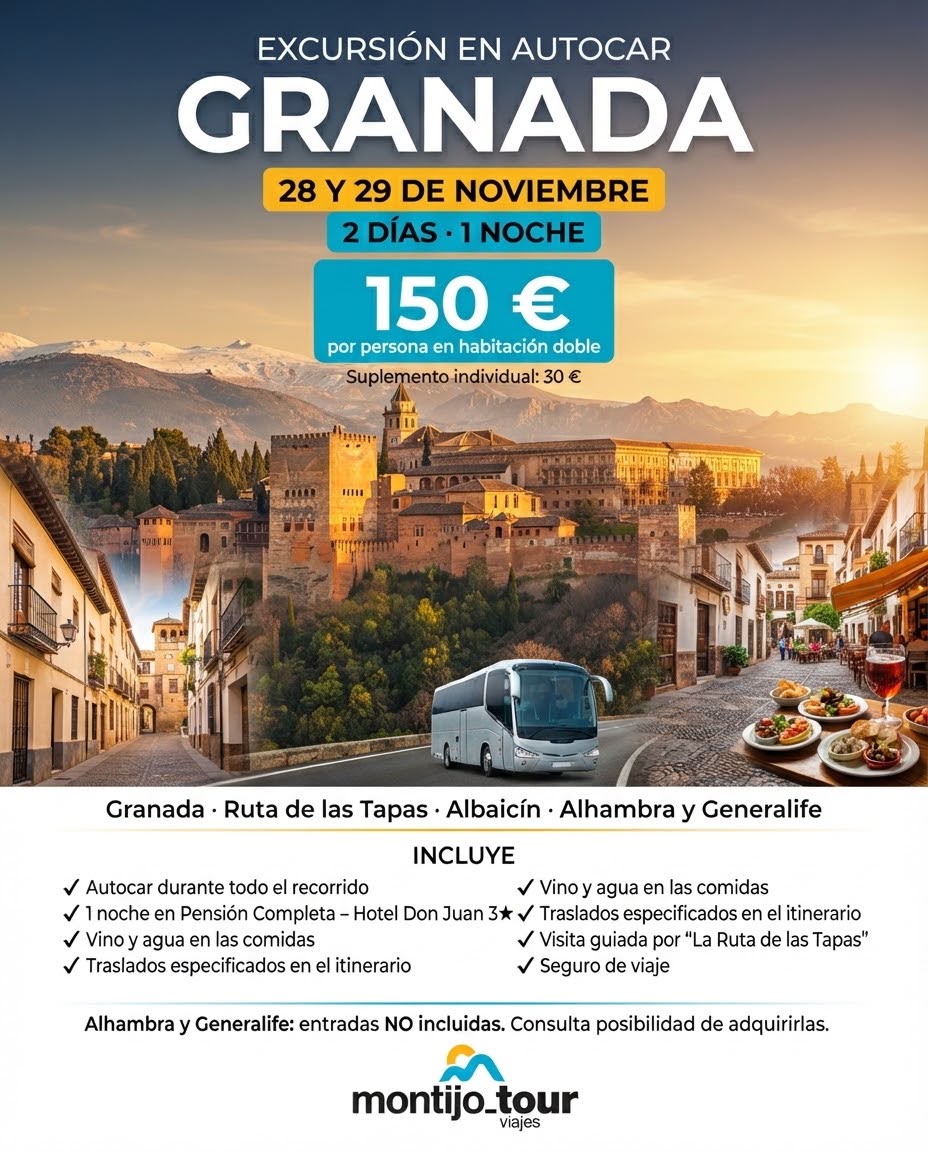 granada, autocar, 1 noche, pension completa, noviembre, luces navidad